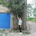 DSCN3801.jpg