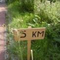 2008-08-31_100_km_estafette_av_gouda_0048.jpg