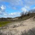 duinen2.jpg