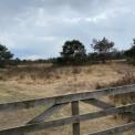 IMG-20220403-WA0016.jpg